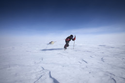 Abenteurer und Polarforscher Sebastian Copeland in der Arktis auf Eis mit einem Schlitten