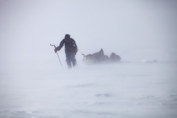 Abenteurer und Polarforscher Sebastian Copeland in der Arktis auf Eis mit einem Schlitten